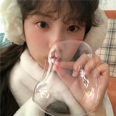 托梅斯的导盲犬